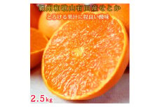 紀州有田産せとか約2.5kg　とろける食感！ジューシー柑橘【2026年2月上旬以降発送】【先行予約】【UT02】