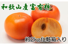 ［厳選・産直］和歌山産の富有柿約2kg（化粧箱入り）（2L～4Lサイズ）★2025年11月頃より順次発送【TM59】
