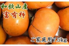 和歌山産富有柿ご家庭用約7.5kg★2025年11月上旬頃より順次発送【TM6】