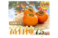 和歌山秋の味覚　富有柿　約７．５ｋｇ「2025年11月上旬以降発送予定」【UT48】