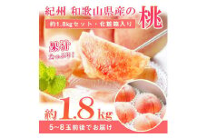 紀州和歌山産の桃　約1．8kg　化粧箱入【2025年7月上旬より順次発送】【UT52】