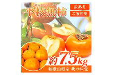 【ご家庭用】平核無柿（ひらたねなしがき）約７.５kg 和歌山秋の味覚【2025年発送】【UT32】
