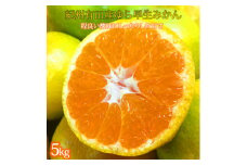 紀州和歌山有田産ゆら早生みかん　5kg【2025年発送】【UT34】