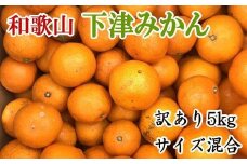 【訳あり】和歌山下津みかん約5kgご家庭用向け(サイズ混合) ★2025年11月中旬頃より順次発送［TM77］