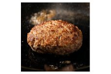 紀州和華牛 生ハンバーグ 10個入り