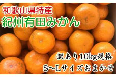 [訳あり]和歌山有田みかん約10kg(S～Lサイズいずれかお届け）★2025年11月中旬頃より順次発送［TM82］