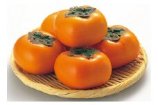 【ご家庭用】和歌山県産 平核無柿 約5kg 【2024年10月上旬～11月上旬順次発送】【MG68】