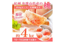 秀品紀州和歌山産の桃約4kg化粧箱入【2025年6月下旬より順次発送】【UT106】