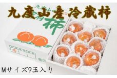 ［まごころ栽培］九度山の冷蔵富有柿Mサイズ9玉入り★2026年1月下旬頃より順次発送［TM122］