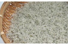 【海南塩津の港から直送】こだわりの冷蔵新鮮ちりめん250g×2パック