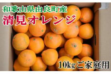 ［訳あり・ご家庭用］和歌山由良町産の濃厚清見オレンジ約10kg★2026年2月中旬頃より順次発送［TM132］