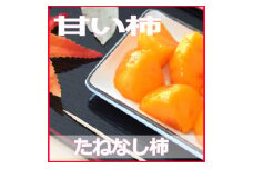 採れたてタネなし柿“Lサイズ”7.5kg＜2025年10月中旬～10月下旬頃発送予定＞【ART17】