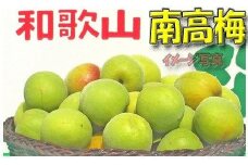［梅干・梅酒用］（LまたはM－2Kg）熟南高梅＜2026年6月上旬～7月7日発送予定＞フルーツ 果物 くだもの 食品 人気 おすすめ 送料無料［ART07］