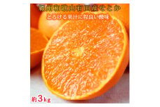 紀州有田産せとか約3kg　とろける食感！ジューシー柑橘［2026年2月下旬以降発送］［先行予約］［UT03］