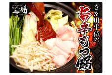 熊野牛とろホルモンの旨辛もつ鍋セット
