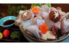 【冬の王様】料理長厳選のクエ鍋&特製柚子ぽん酢セット（3~4人前）