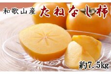 和歌山産たねなし柿（サイズおまかせ）約7.5kg・秀品★2025年10月頃より順次発送［TM10］