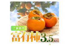 【ご家庭用わけあり】和歌山秋の味覚　富有柿　約3．５ｋｇ　「2025年11月上旬以降発送予定」【UT51】