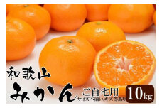 和歌山産 みかん 10kg 【ご自宅用・サイズ不揃い・キズ等あり】【ヤマタ大谷商店】