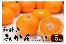 和歌山産 みかん 5kg 【ご自宅用・サイズ不揃い・キズ等あり】【ヤマタ大谷商店】