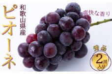 ◆先行予約◆和歌山県産 ピオーネ 2房入り〈秀品〉［2025年8月下旬以降出荷］［MG26］