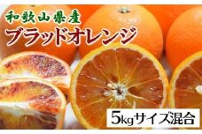 ［希少・高級柑橘］国産濃厚ブラッドオレンジ「タロッコ種」約5kg★2026年4月頃より順次発送予定［TM149］