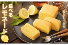 プレミアム「生」レモンケーキを超える パティシエの知識と技術の結晶 【食べるレモネード】 ”紀州プレミアムレモンケーキ BAKE”