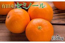 和歌山有田産セミノールオレンジ約5kg(サイズおまかせ　秀品) ★2024年4月中頃より順次発送【TM24】