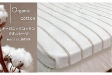 オーガニックコットン　タオルシーツ　シングルサイズ（145×230cm）ボーダー　ブラウン  SNS-13-BR