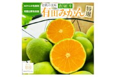 特選 青切り有田みかん 約3kg ［2025年9月中旬より発送］［MS21］
