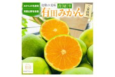 ［先行予約］有田育ちのご家庭用青切り有田みかん5kg ［2025年9月中旬より発送］［訳あり］［サイズ混合］［MS18］