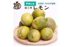 ＜9月より発送＞ 加工用 黒潮 レモン 5kg+150g（傷み補償分） 和歌山有田産 防腐剤・WAX不使用 安心の国産レモン 訳あり わけあり レモン 果汁用［IKE80］