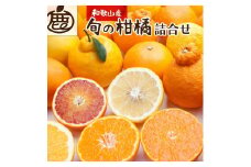 ［先行予約］厳選 柑橘詰合せ2.5kg+250g（傷み補償分）［有田の春みかん詰め合わせ・フルーツ詰め合せ・オレンジつめあわせ］［光センサー選別］［IKE115］