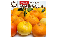 ［先行予約］家庭用 柑橘詰合せ5kg+250g（傷み補償分）［訳あり・わけあり］［有田の春みかん詰め合わせ・フルーツ詰め合せ・オレンジつめあわせ］［光センサー選別］［IKE117］