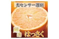 ［先行予約］厳選 はっさく5kg+250g（傷み補償分）［八朔みかん］［光センサー選別］［IKE26］