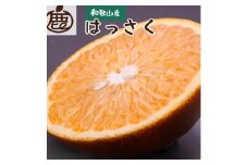 ［先行予約］厳選 はっさく10kg+250g（傷み補償分）［八朔みかん］［光センサー選別］［IKE27］