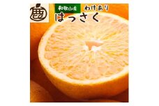 ［先行予約］家庭用 はっさく10kg+250g（傷み補償分）【八朔みかん】【訳あり・わけあり】［IKE30］