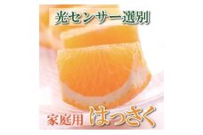 ［先行予約］家庭用 はっさく5kg+250g（傷み補償分）【八朔みかん】【訳あり・わけあり】［IKE29］