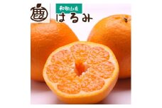 ［先行予約］厳選 はるみ5kg+250g（傷み補償分）［デコポンの姉妹品種・新食感春みかん］［光センサー選別］［IKE122］