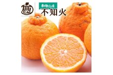 ［先行予約］厳選 不知火10kg+250g（傷み補償分）［デコポンと同品種・人気の春みかん］［IKE253］