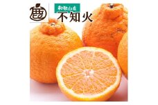［先行予約］厳選 不知火1kg+250g（傷み補償分）［デコポンと同品種・人気の春みかん］［IKE211］