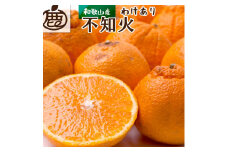 ［先行予約］家庭用 不知火2.5kg+250g（傷み補償分）［デコポンと同品種・人気の春みかん］［わけあり・訳あり］［IKE120］
