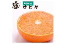 ［先行予約］厳選 せとか1kg+250g（傷み補償分）［柑橘・春みかんの王様］［光センサー選果・食べ頃出荷］［IKE60］