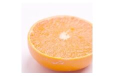 ［先行予約］厳選 せとか2.5kg+250g（傷み補償分）［柑橘・春みかんの王様］［光センサー選果・食べ頃出荷］ ［IKE61］