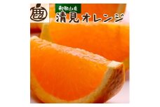 ［先行予約］厳選 清見オレンジ5kg+250g（傷み補償分）［光センサー食頃出荷］［樹上完熟きよみオレンジ・清見タンゴール・清美］［IKE148］