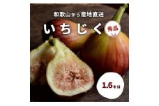 和歌山産 いちじく 秀品約1.6kg(400g ×4パック)