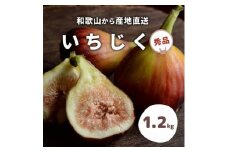 和歌山産 いちじく 秀品 約1.2kg(400g×3パック)
