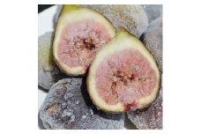 和歌山産 訳あり冷凍いちじく2kg(500g ×4パック)