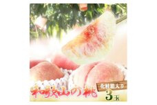 秀品　紀州和歌山産の桃　３玉　化粧箱入【2025年7月上旬より順次発送】【UT105】