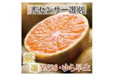 ＜9月より発送＞ 厳選 極早生 有田みかん 5kg+150g（傷み補償分） YN26 ゆら早生 ［IKE169］